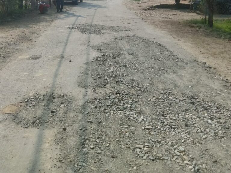 dda2e94a-9815-44d6-83b6-e31df1cbeb76_1762589900696